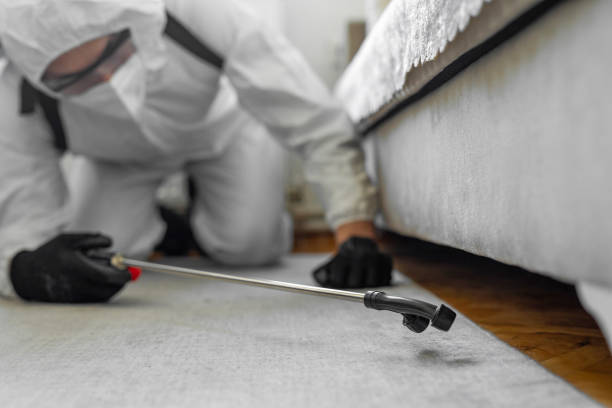 Professional Bed Bug Control technician working in Beacon Square, FL